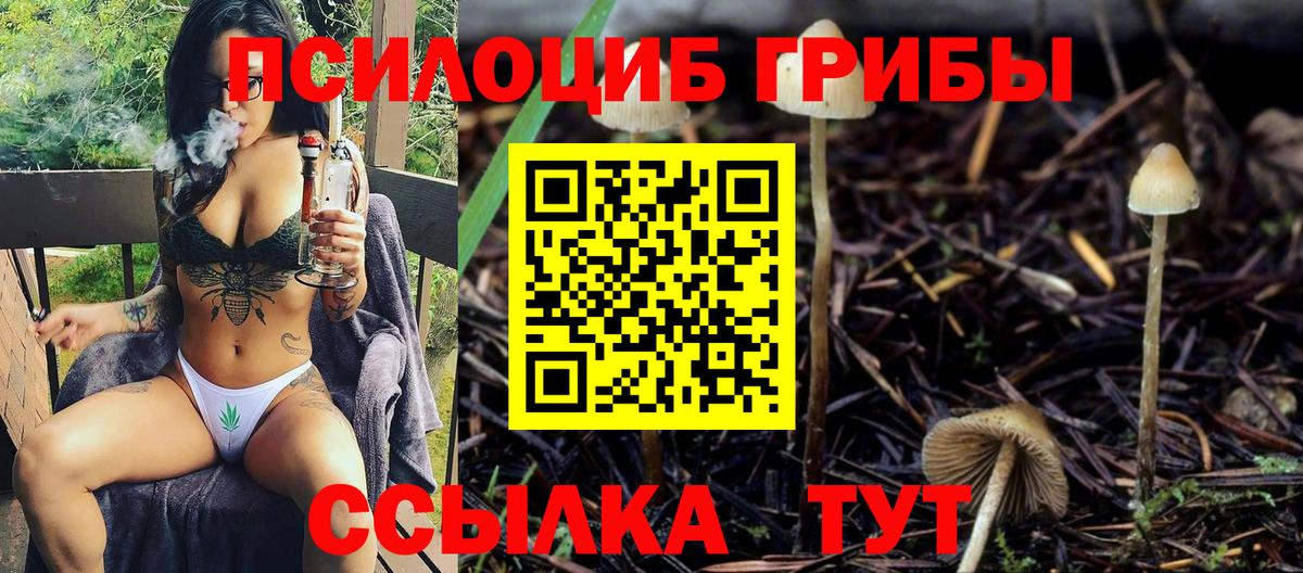 Галлюциногенные грибы прущие грибы Апрелевка